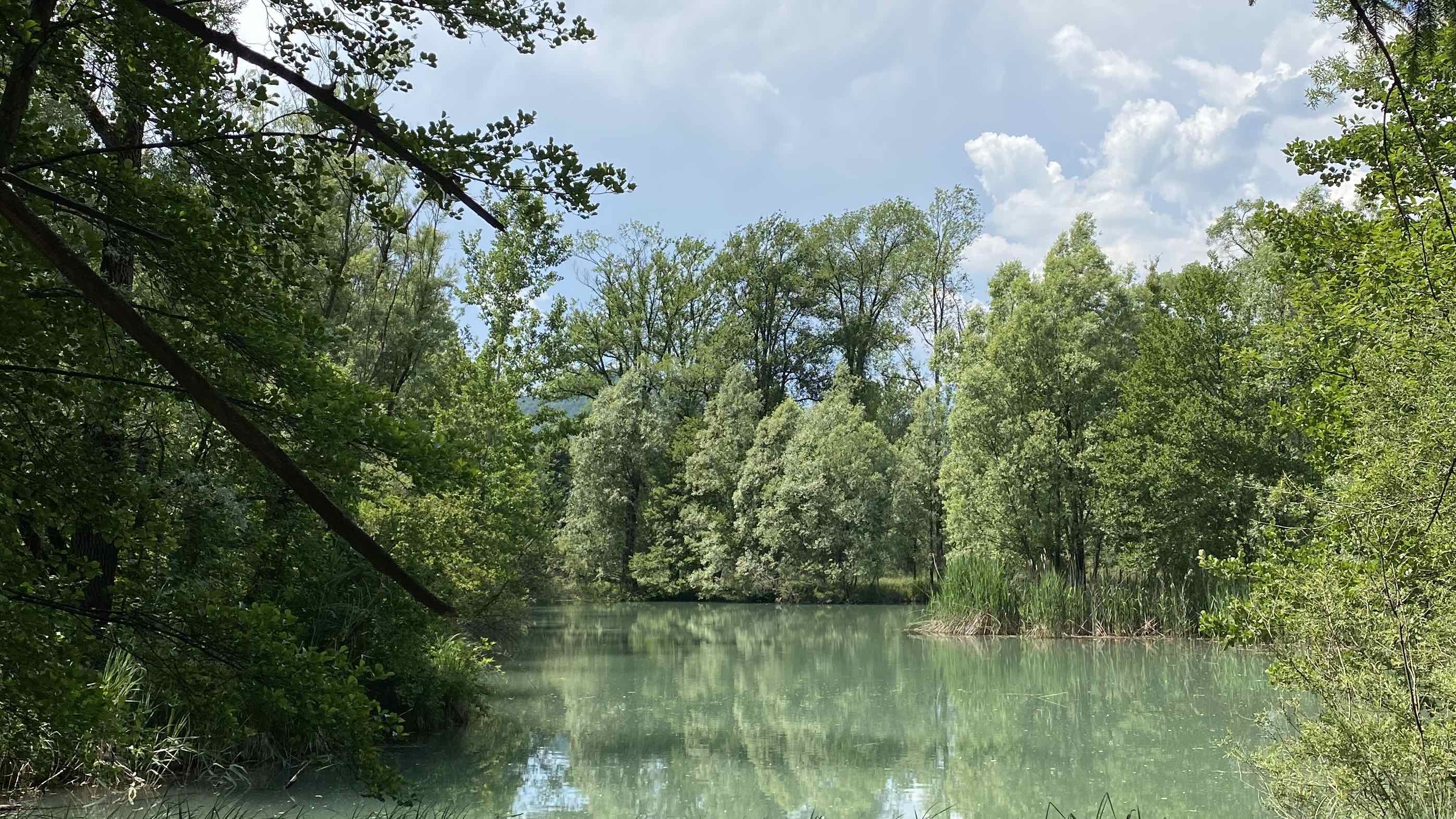 Celarda tra storia e natura