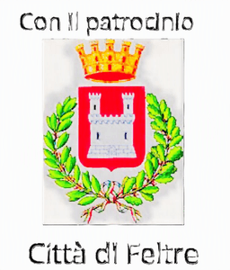 Città di Feltre logo
