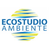 Ecostudio logo